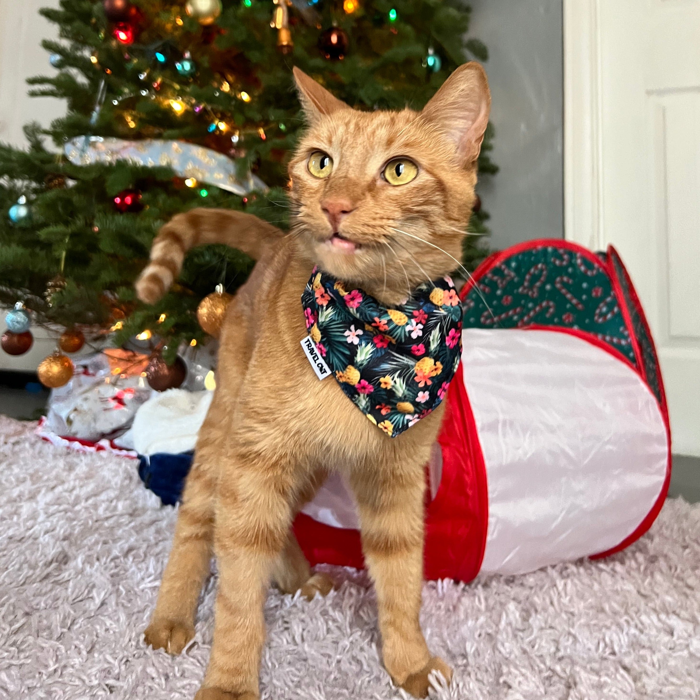 "The Hawaiian" Bandana & Collar Set