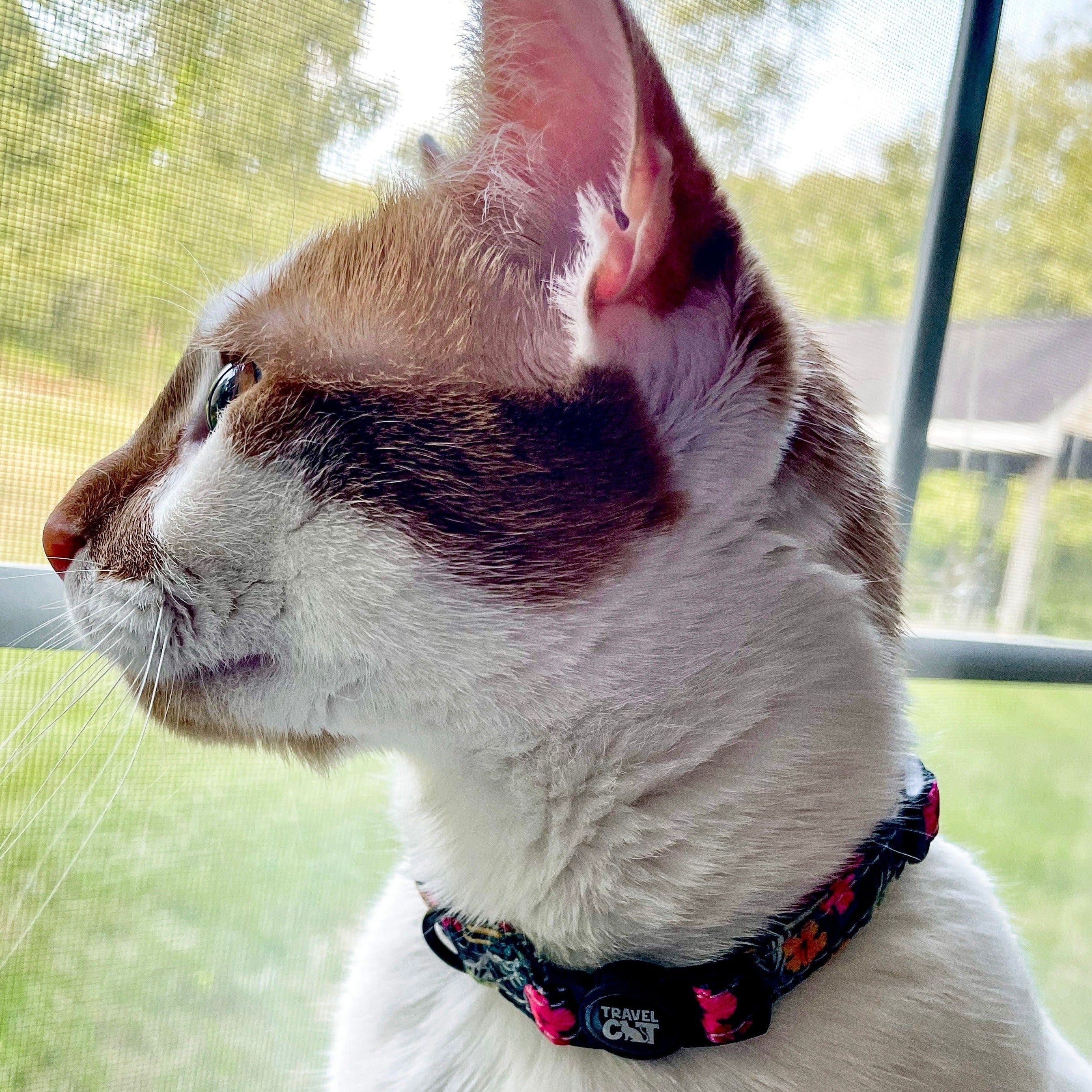 “The Travel Cat” Breakaway Cat Collar