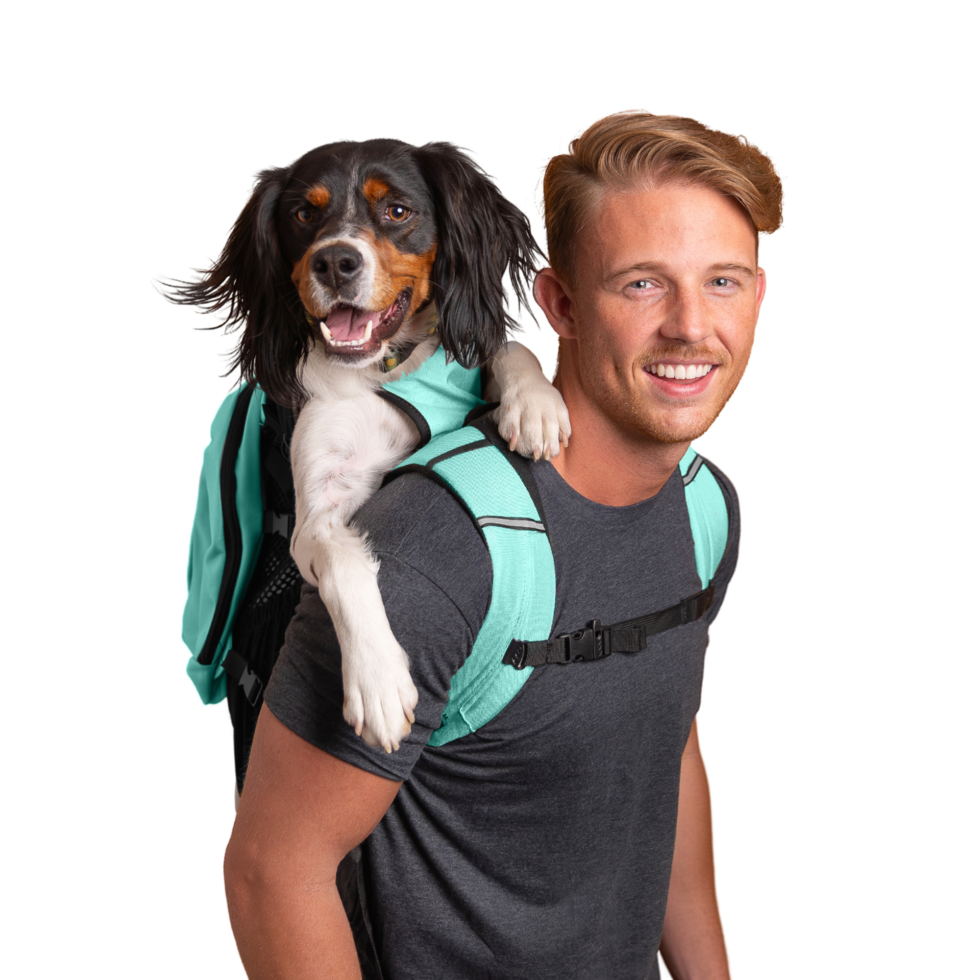 Plus 2 | Dog Carrier with Removable Storage