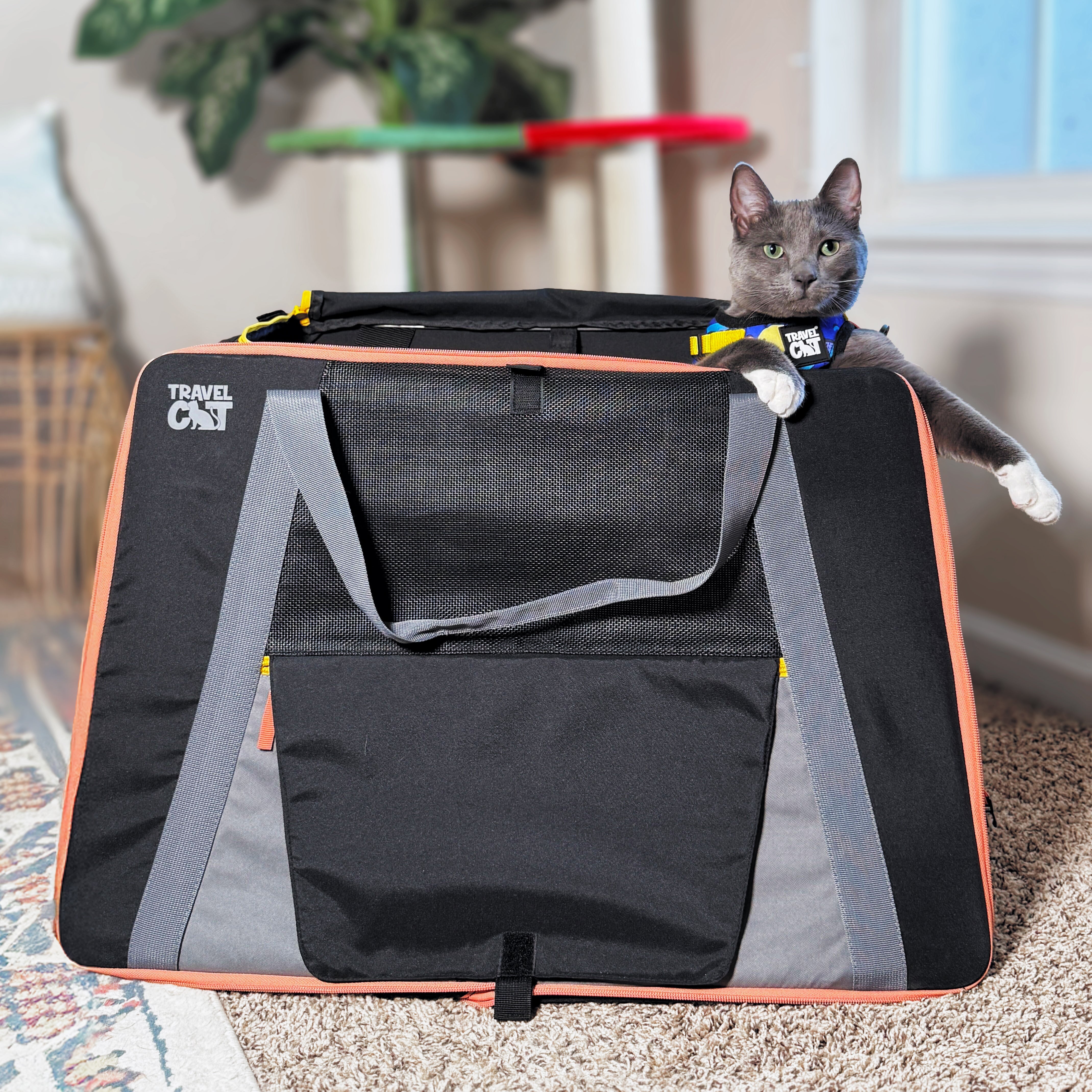 “The Pack N' Paw” Light & Slim Collapsible Cat Crate & Carrier
