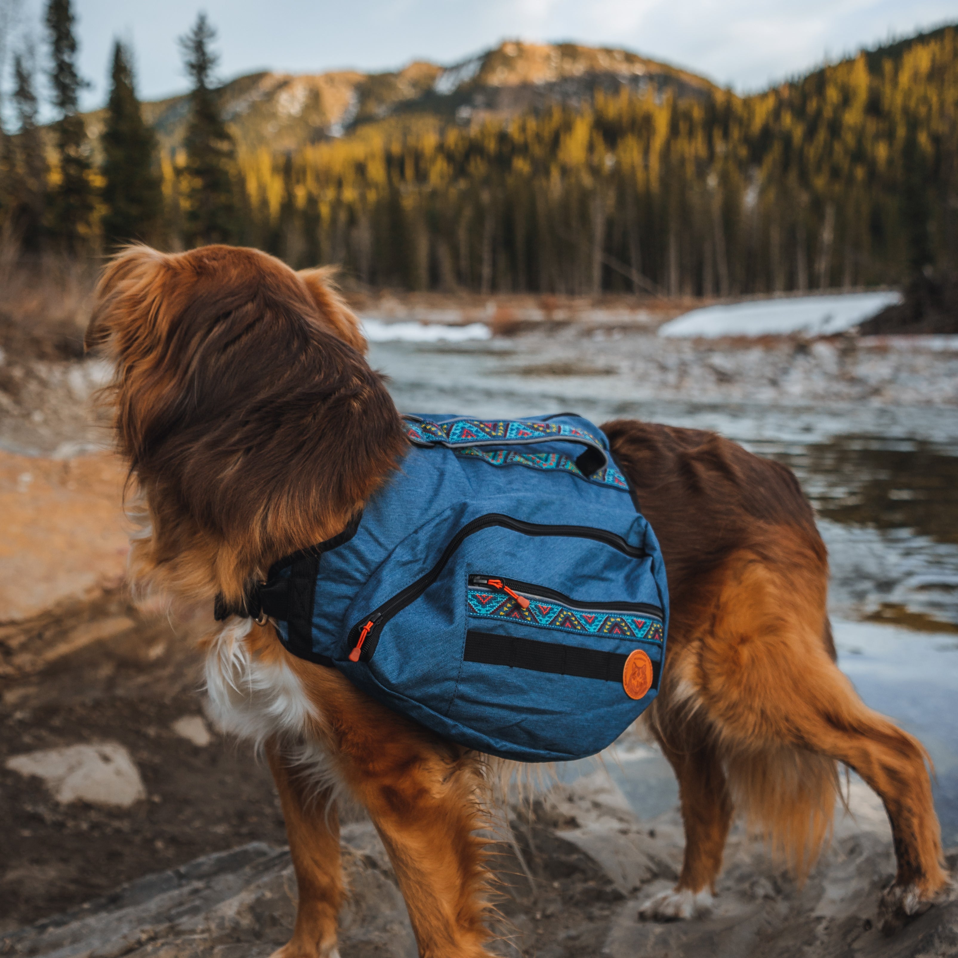 Dog Backpack