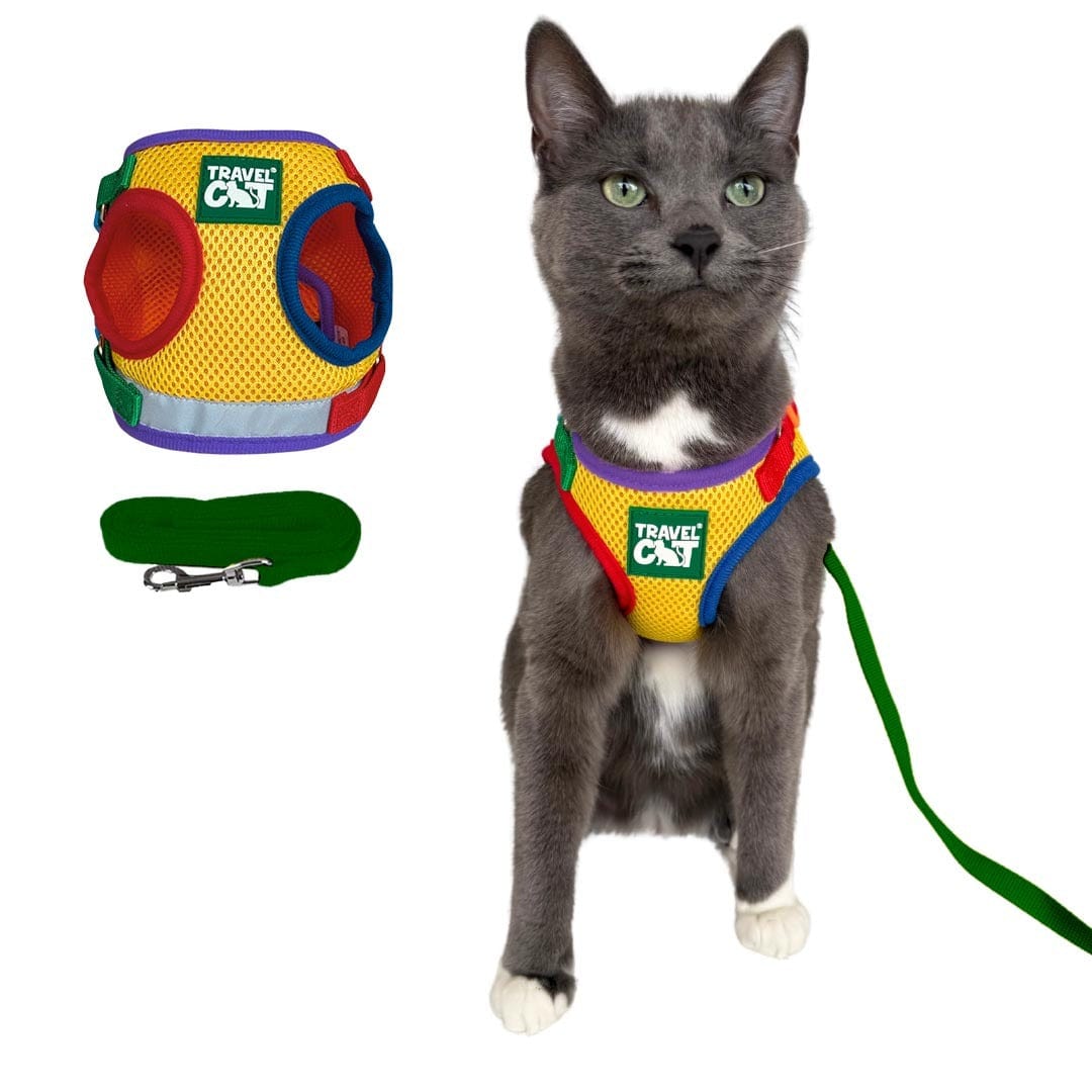 "The True Adventurer" Reflective Cat & Kitten Harness and Leash