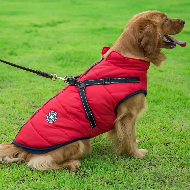 Harness Dog Coat L-XL