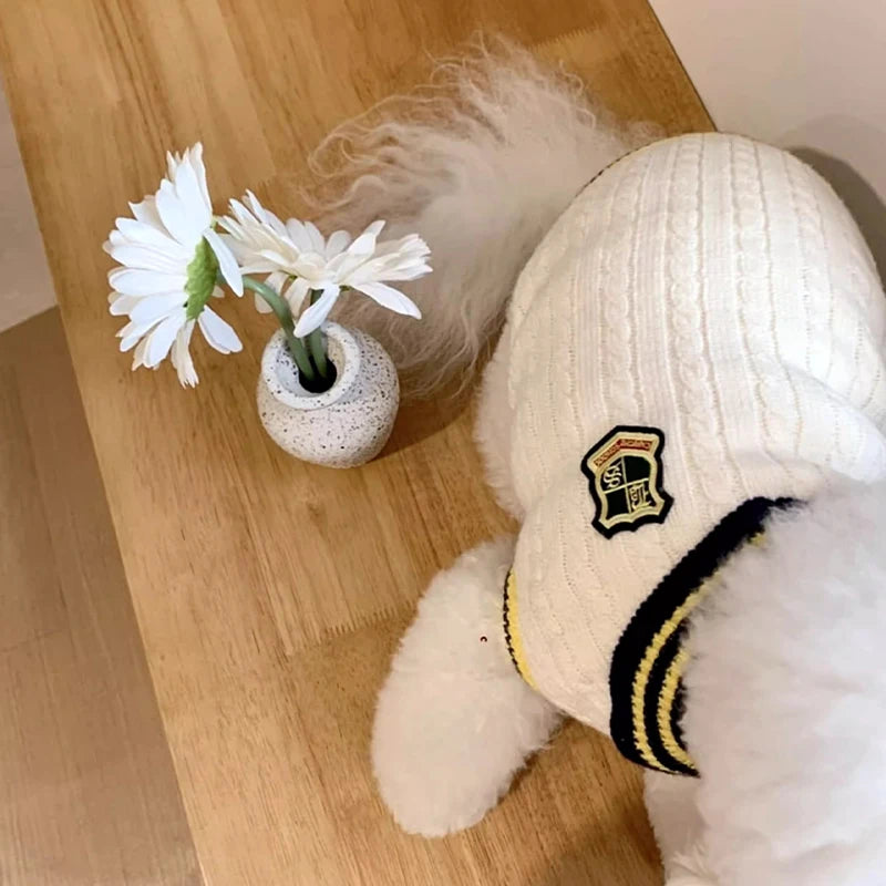 Classic Winter Dog Sweater Warm Cotton Coat for Small