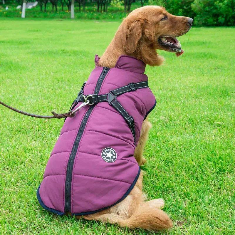 Harness Dog Coat L-XL