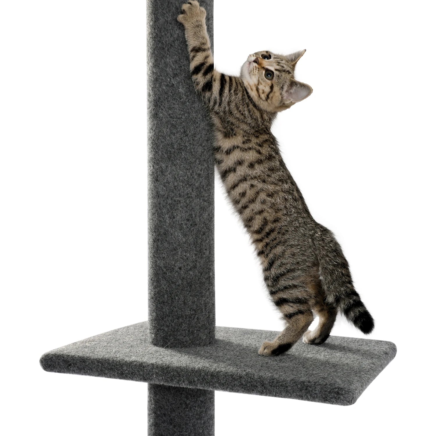 Adjustable Height Cat Tree for Indoor, Floor to Ceiling Cat Tower with Scratching Posts, Cat Scratcher Furniture, Kitten Toys