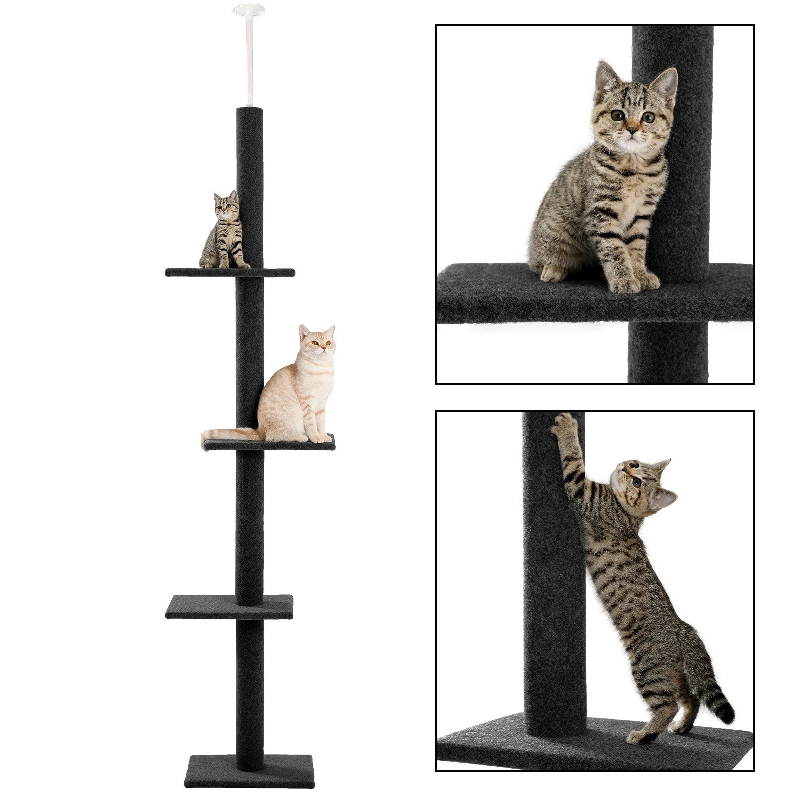 Adjustable Height Cat Tree for Indoor, Floor to Ceiling Cat Tower with Scratching Posts, Cat Scratcher Furniture, Kitten Toys