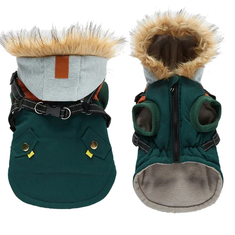 Small Dog Winter Harness 2-pack