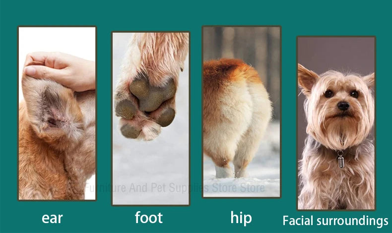 Versatile Pet Clippers with Quiet Motor and Multiple