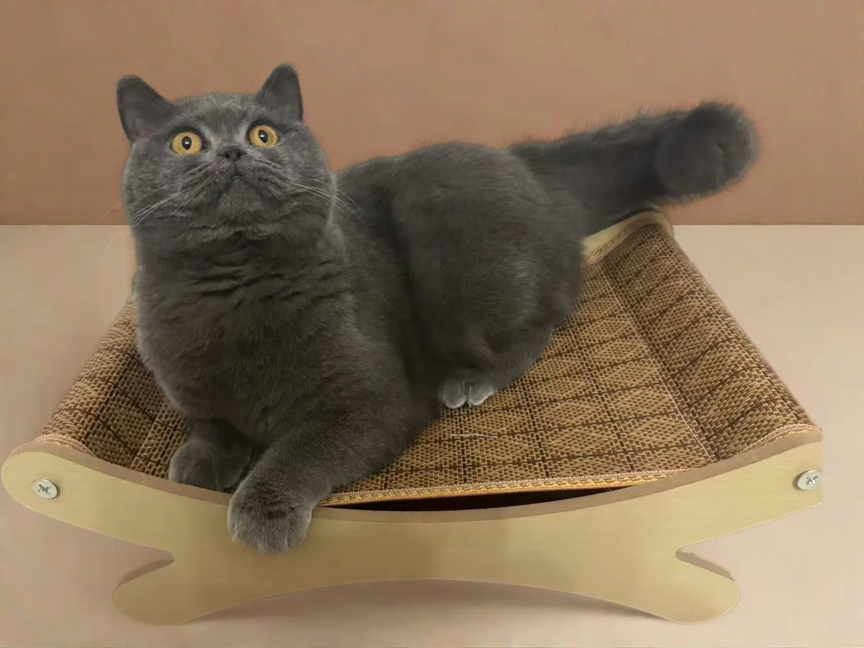 FatCat Rattan Bed - Durable 2-in-1 Lounging Sofa