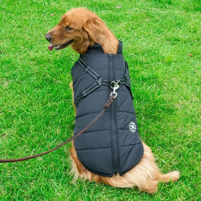 Harness Dog Coat L-XL