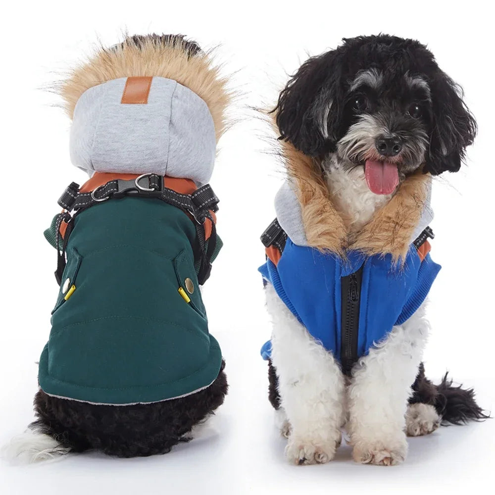 Small Dog Winter Harness 2-pack