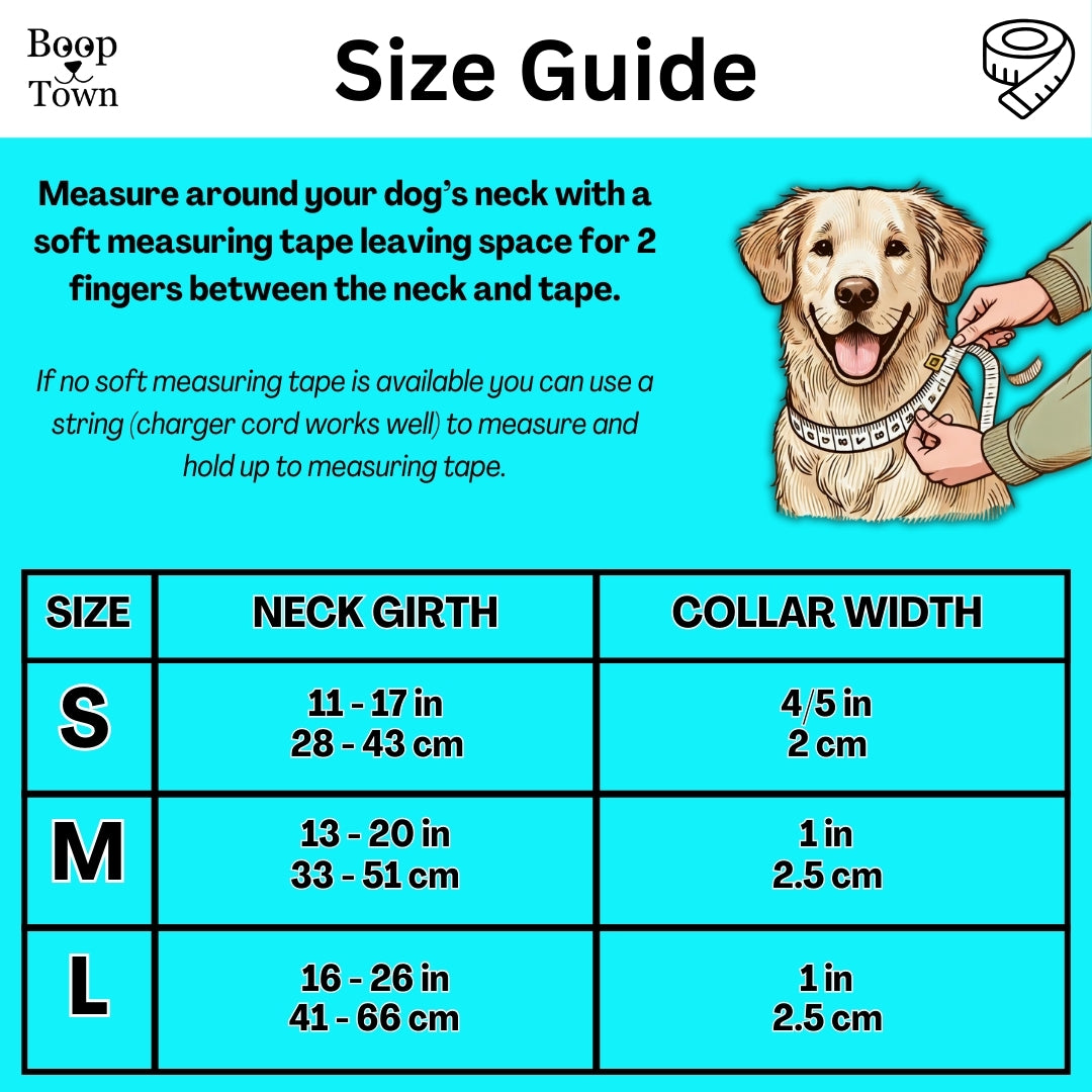 Sea World Collar + Leash Set