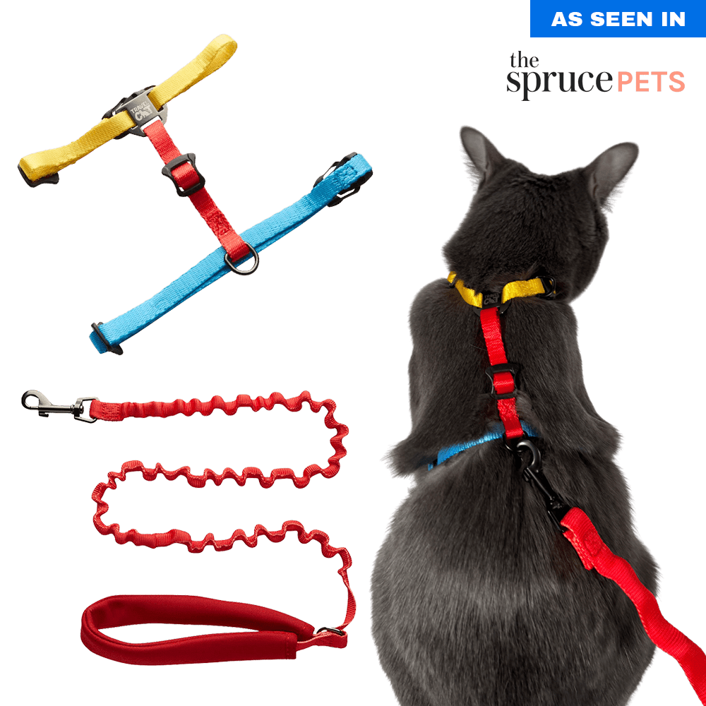 "The Day Tripper" Perfect Adjustable H-Style Cat Harness & Bungee Leash Set - Color Block