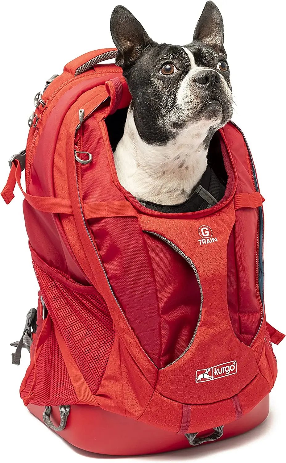 G-Train Dog Carrier Backpack - Comfortable Travel Bag - Waterproof Armorsole Base - Convertible Backpack to Carrier - Padded Laptop Compartment - Hands-Free Pet Travel Backpack