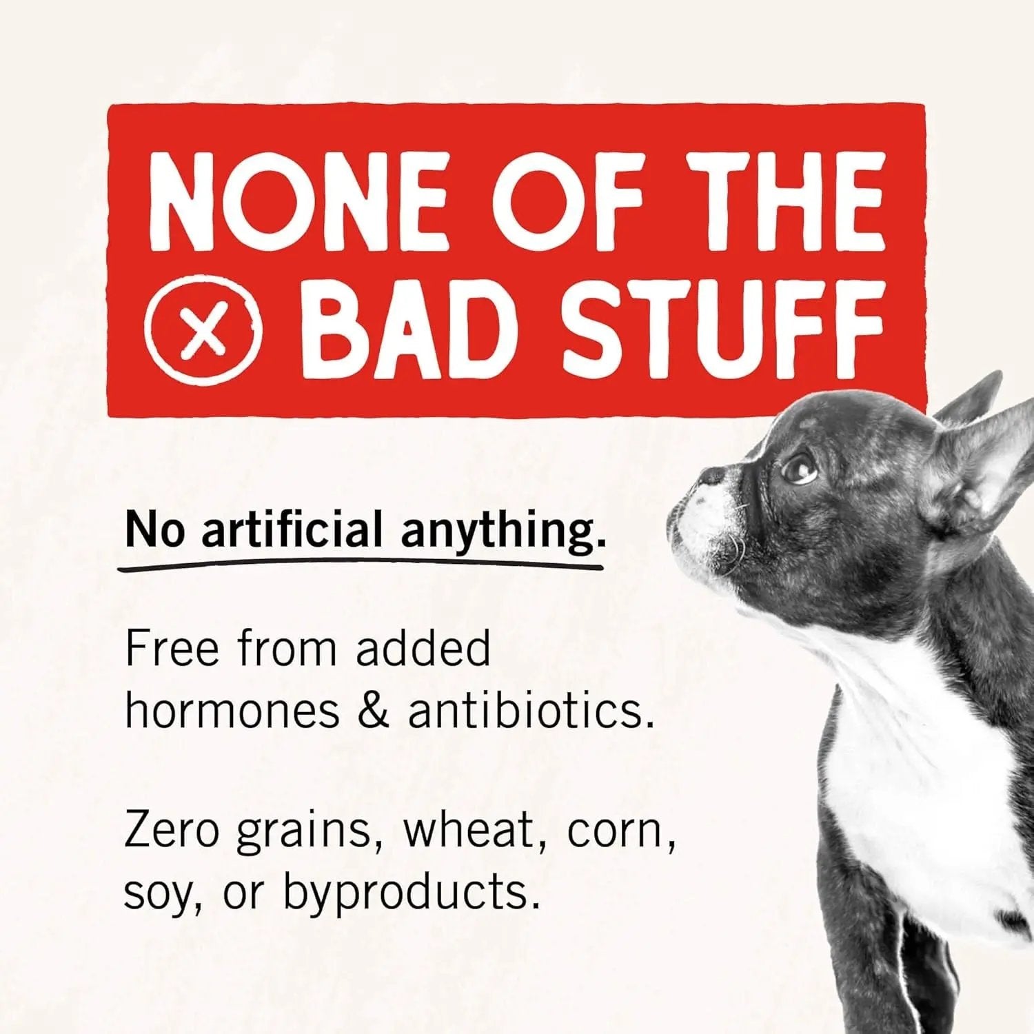 Freeze-Dried Raw Chicken Breast Dog Treats - Single Ingredient, No Additives - Premium Training Treats - Perfect for Picky Eaters - 2.75Oz Bag