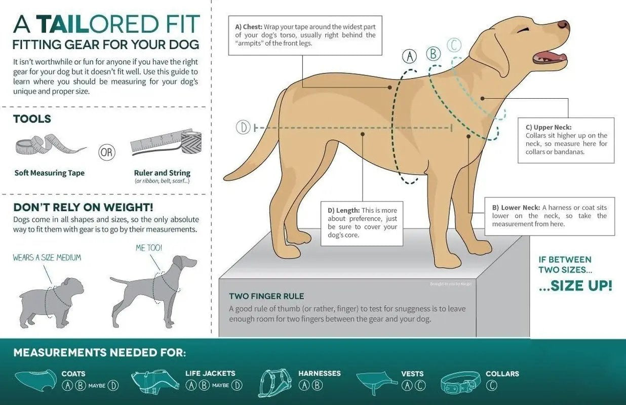 Loft Jacket, Reversible Dog Coat, Dog Coat for Cold Weather, Water-Resistant Dog Jacket with Reflective Trim, Black/Yellow, Medium