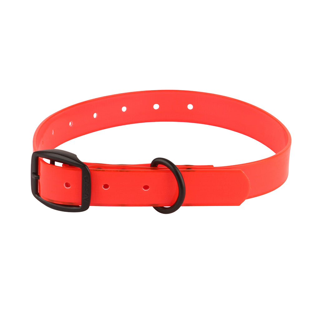 Cut-to-Fit Dog Collar