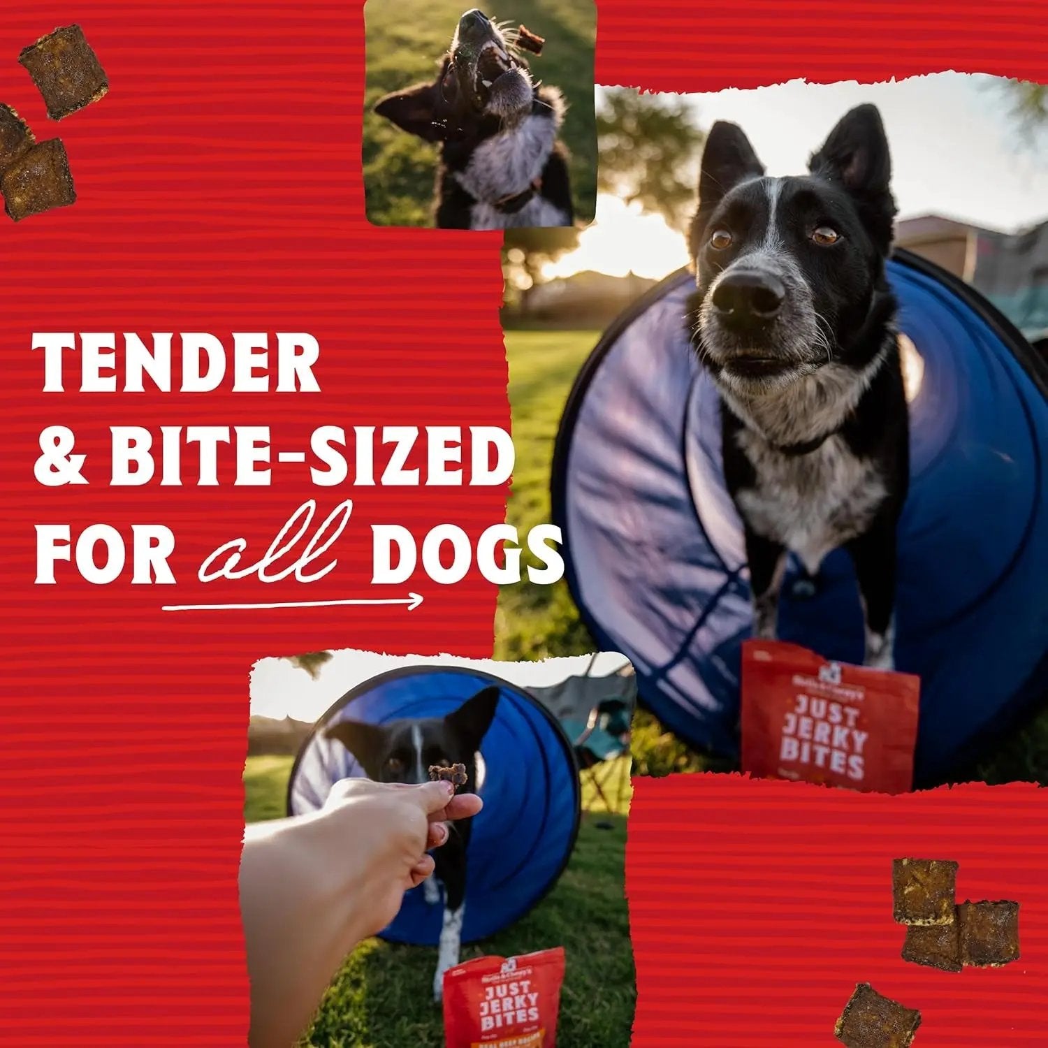 Premium Beef Jerky Dog Treats - 95% Real Meat Bites for Sensitive Stomachs