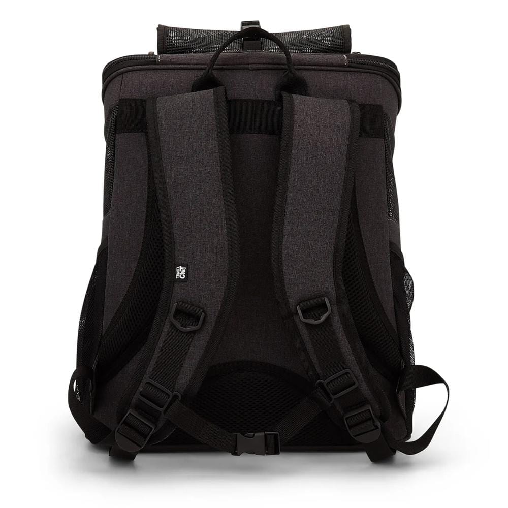 "The Complete Adventure Cat" Bundle