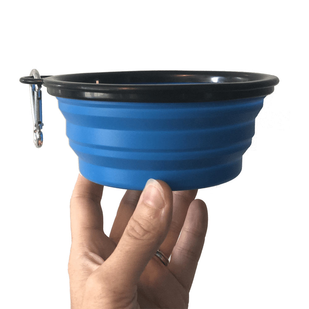 "The Tail Blazer" Adventure Bundle for Kittens