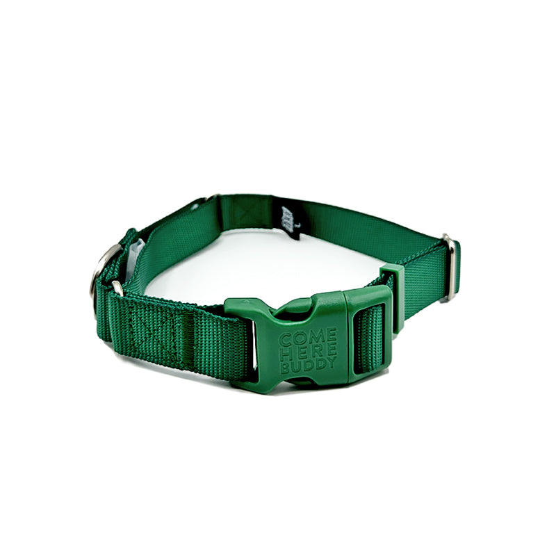 Martingale Dog Collar