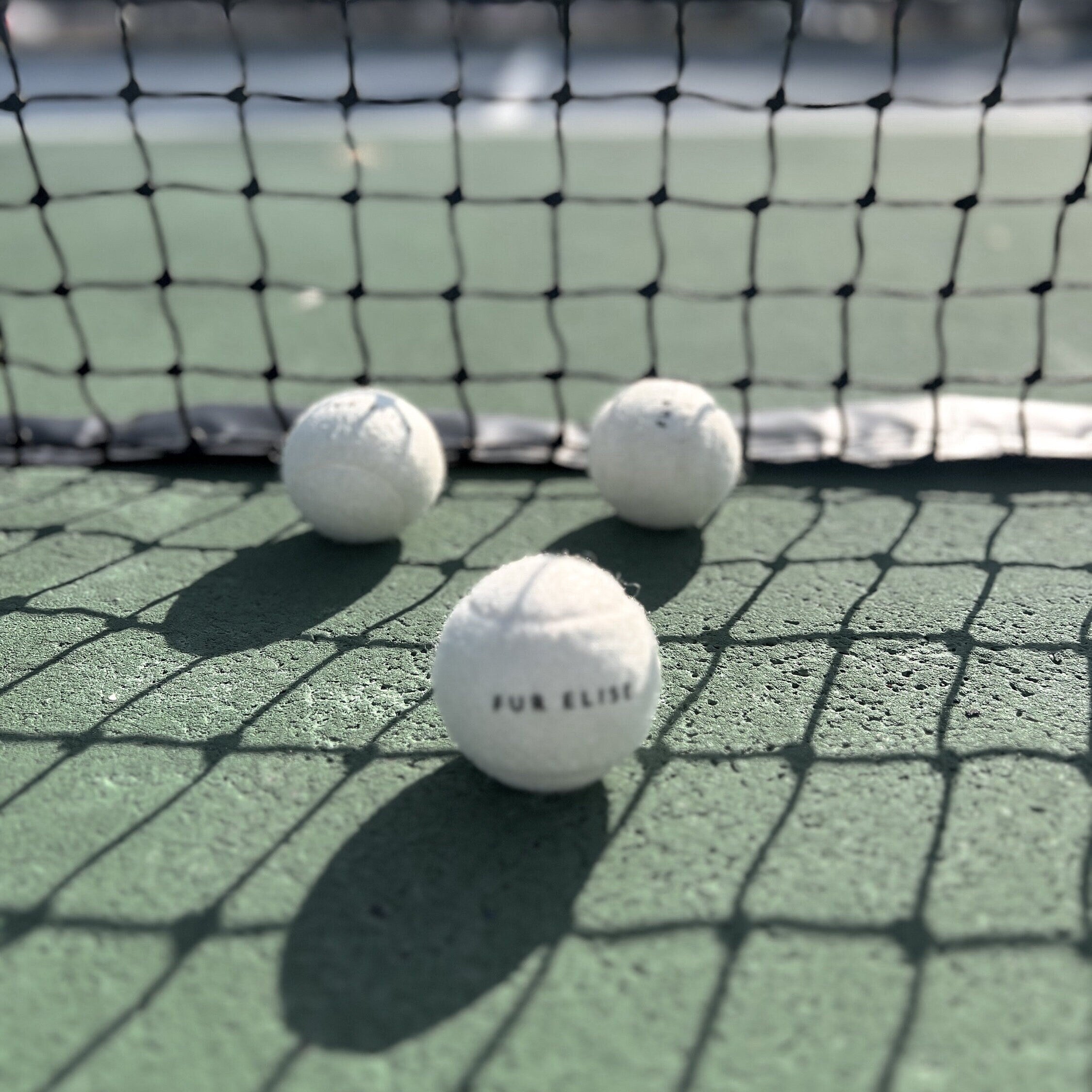 Classic Tennis Ball - Bone