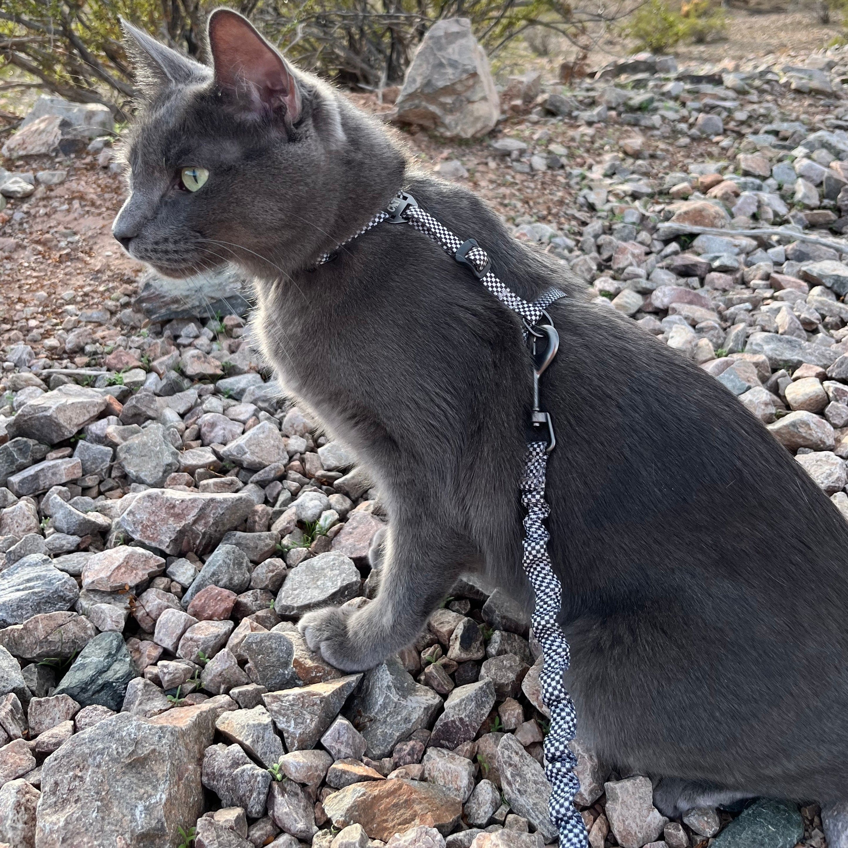 "The Day Tripper" Perfect Adjustable H-Style Cat Harness & Bungee Leash Set