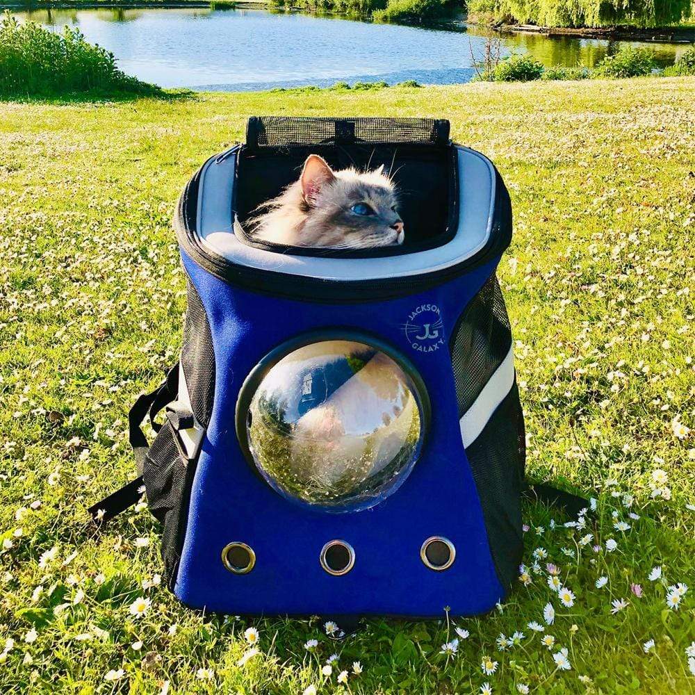 "The Complete Jackson Galaxy Cat Backpack" Bundle