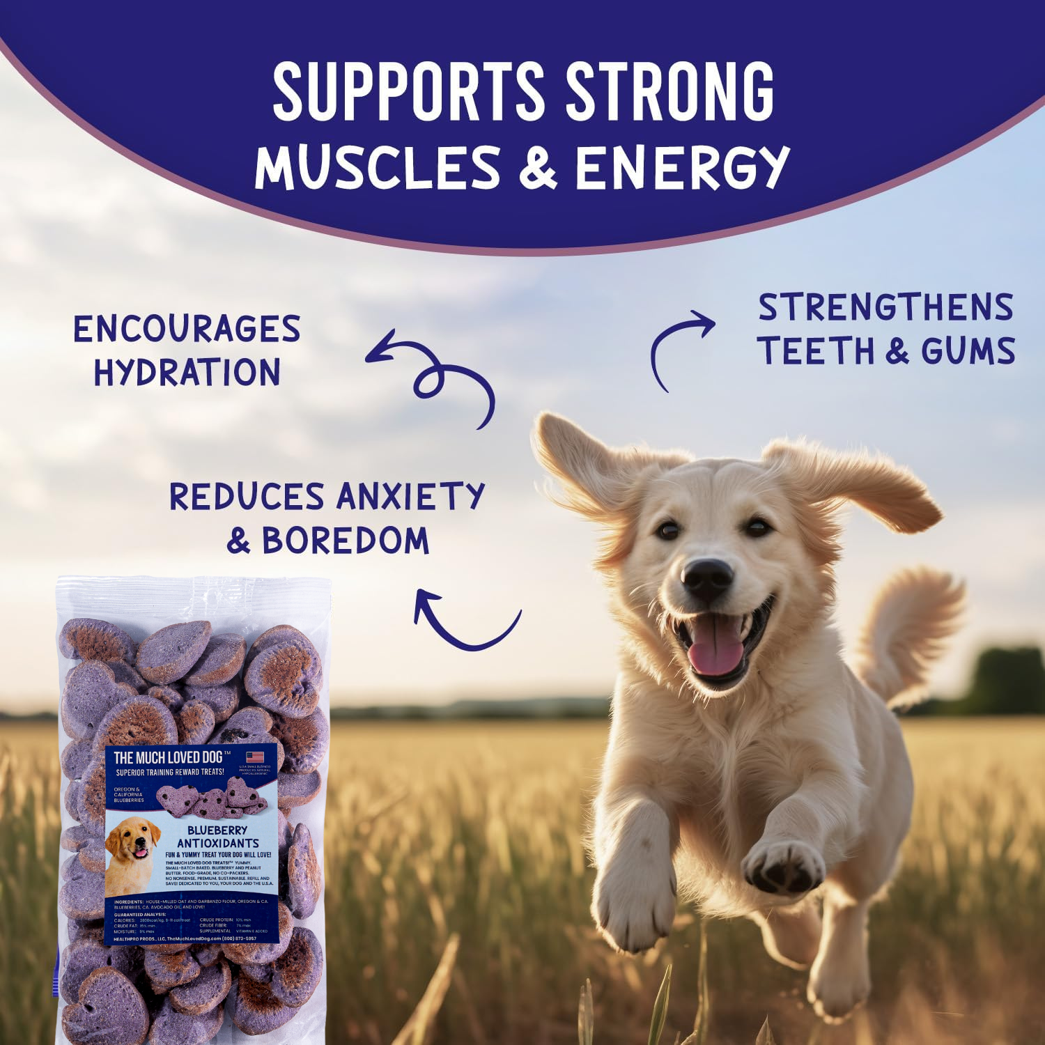 Much Loved Dog™ - Blueberry Antioxidant REFILL, 6 oz.