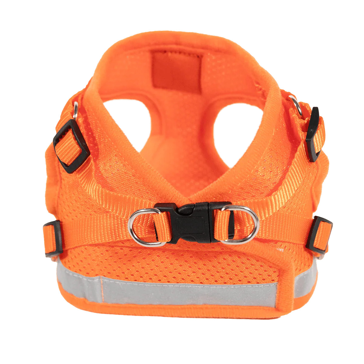 "The True Adventurer" Reflective Cat & Kitten Harness and Leash