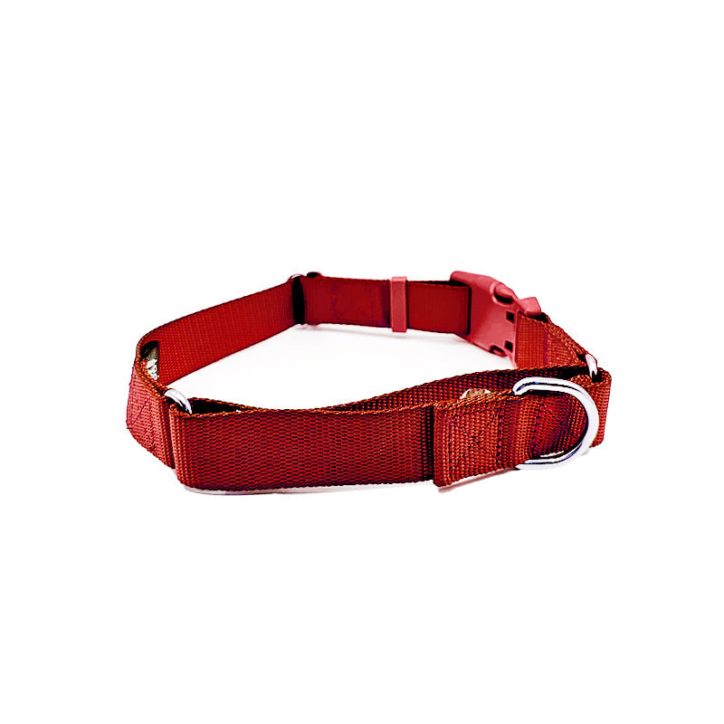 Martingale Dog Collar