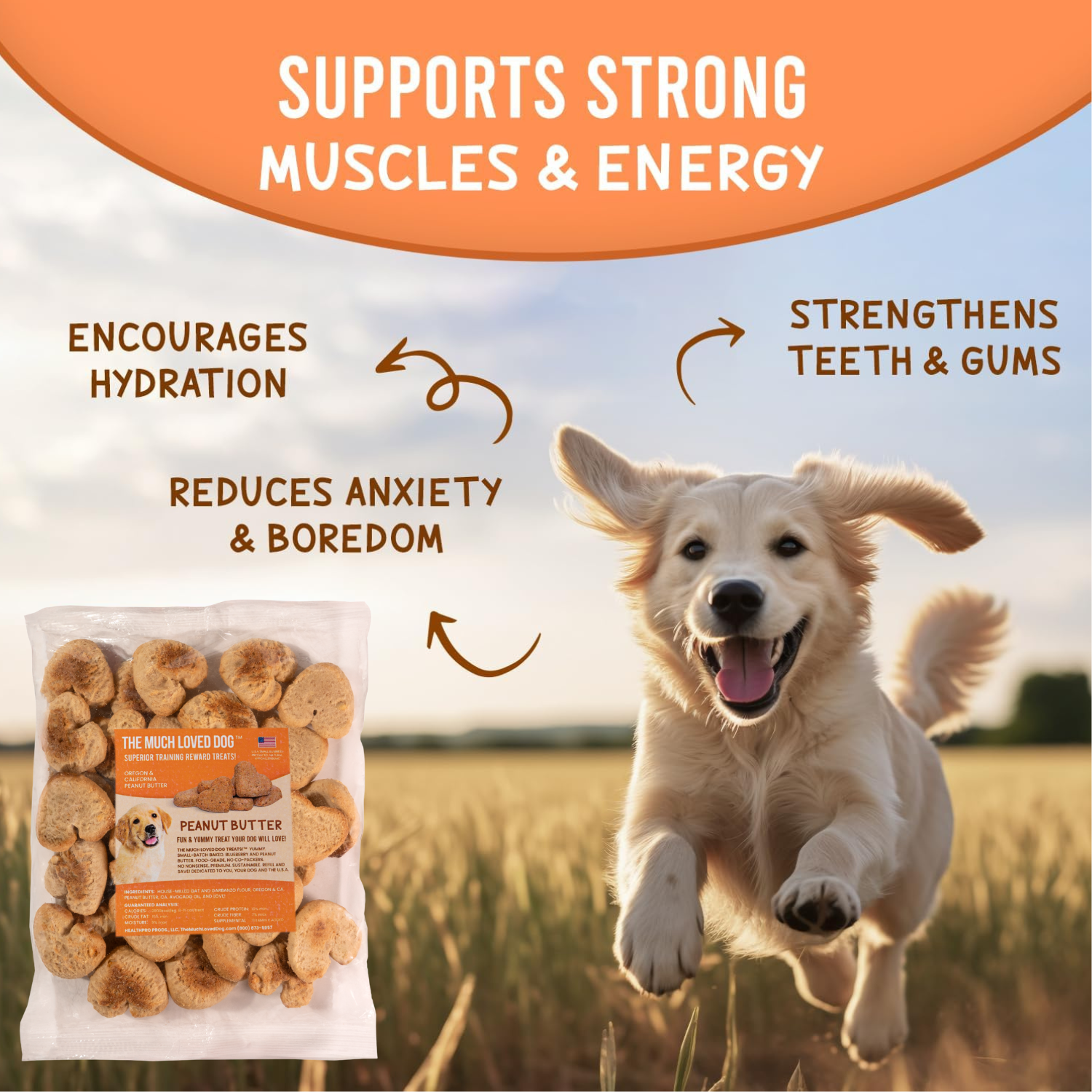 Much-Loved Dog™ Blueberry BUNDLE